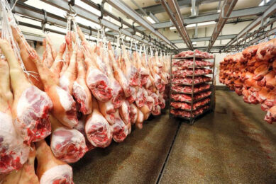 Russia pork exports