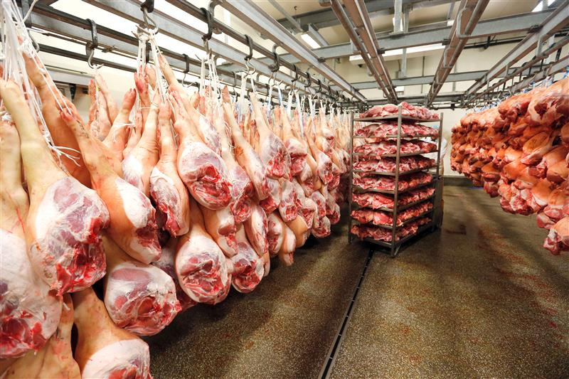 Russia pork exports