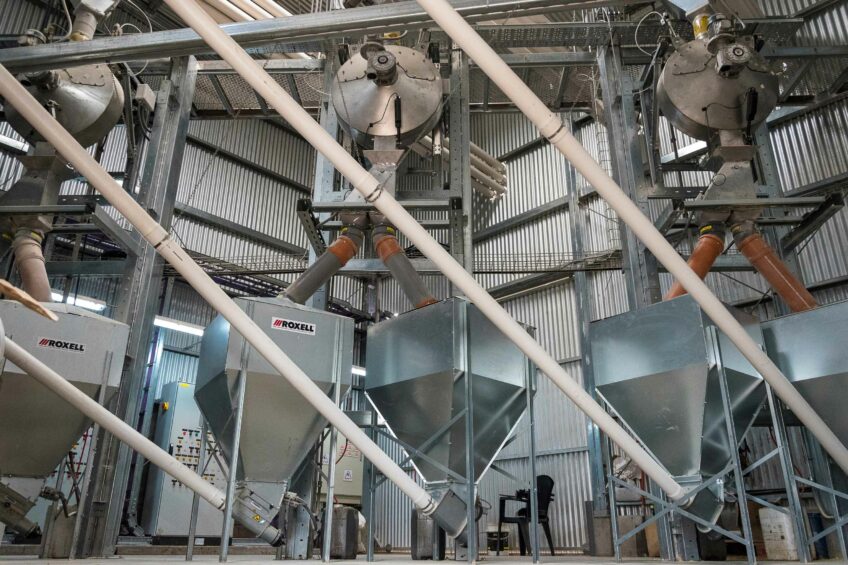 Roxell unveils new feed management systems for pigs